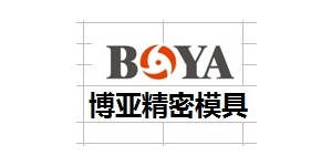 NINGBO BOYA PRECISION MOULD CO.,LTD